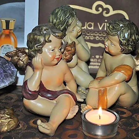 Hotel Agua Viva Eco H Wellness 2*