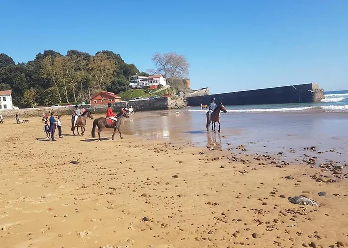 Отель Agua Viva Eco H Wellness