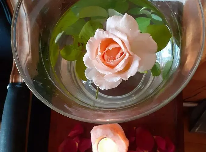 Agua Viva Eco H Wellness Отель Кастро-Урдиалес